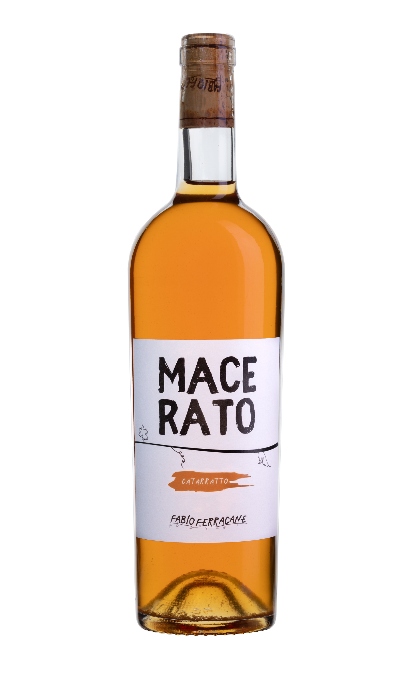 MACERATO - CATARRATTO