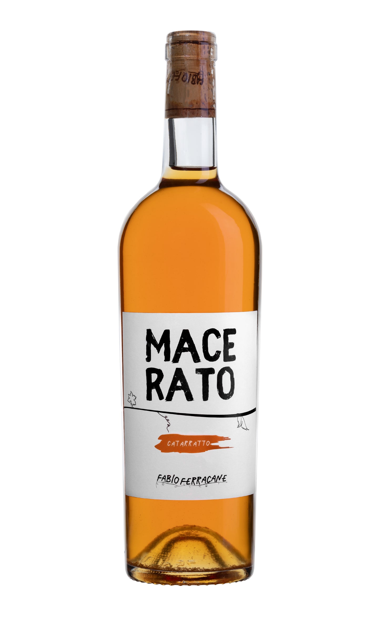 MACERATO - CATARRATTO